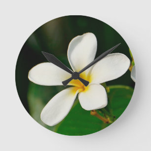 White Frangipani Ronde Klok