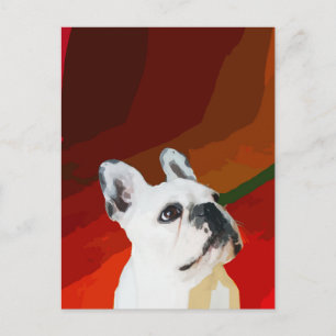 White French Bulldog Briefkaart