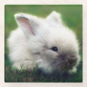 White fuzzy baby bunny glazen onderzetter