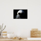 White Fuzzy Owl with Piercing Gaze Poster (Keuken)