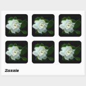 White Gardenia Flower Plant Vierkante Sticker (Vel)
