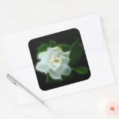 White Gardenia Flower Plant Vierkante Sticker (Envelop)