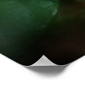 White Gardenia Flower Poster (Hoek)