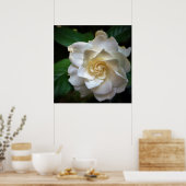 White Gardenia Flower Poster (Keuken)