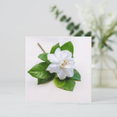 White Gardenia Flowers (Staand voorkant)
