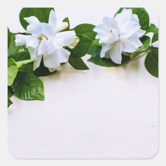 White Gardenia Flowers Vierkante Sticker (Voorkant)