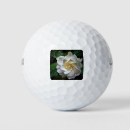 White Gardenia Golfballen