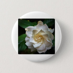 White Gardenia Ronde Button 5,7 Cm