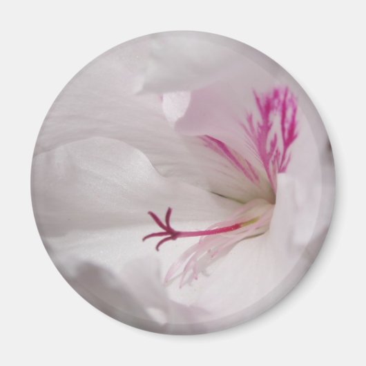 White Geranium Magnet Magneet (Voorkant)