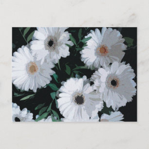 White Gerbera Daisies Briefkaart