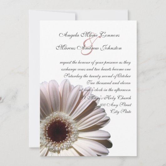 White Gerbera Wedding Daisy Kaart (Voorkant)