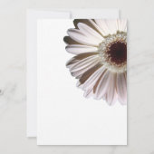 White Gerbera Wedding Daisy Kaart (Achterkant)