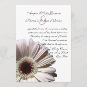 White Gerbera Wedding Daisy Kaart