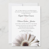 White Gerbera Wedding Daisy Kaart (Voorkant)