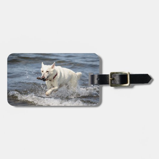 White German Shepard op Lake George Bagagelabel (Voorkant horizontaal)