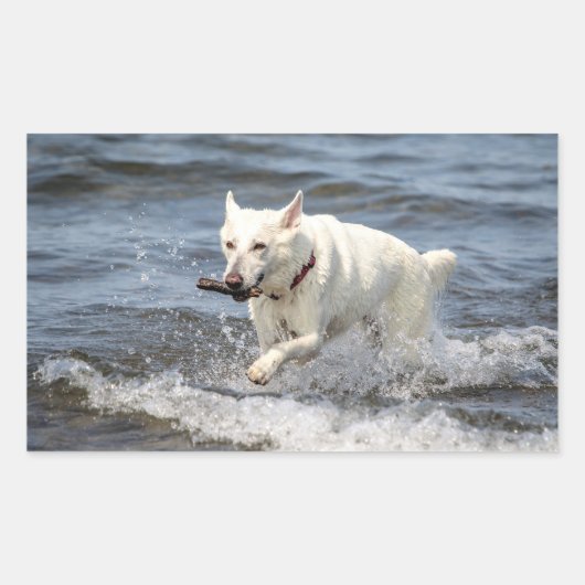 White German Shepard op Lake George Rechthoekige Sticker (Voorkant)
