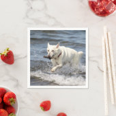 White German Shepard op Lake George Servetten (Insitu)