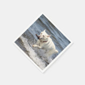 White German Shepard op Lake George Servetten (Hoek)