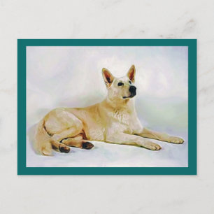 White German Shepherd Briefkaart