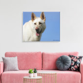 White German Shepherd Canvas Afdruk (Insitu (Woonkamer))