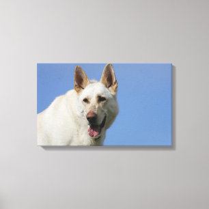 White German Shepherd Canvas Afdruk