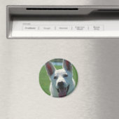 White German Shepherd Dog Magneet (Insitu (Vaatwasser))