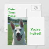White German Shepherd Dog Uitnodiging Briefkaart (Voorkant / Achterkant)