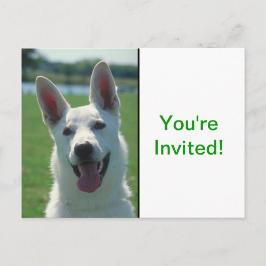 White German Shepherd Dog Uitnodiging Briefkaart (Voorkant)