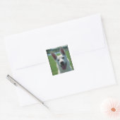 White German Shepherd Dog Vierkante Sticker (Envelop)