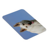 White German Shepherd Magneet (Rechterzijde)