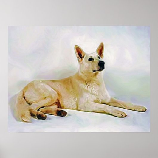 White-German-Shepherd Poster (Voorkant)
