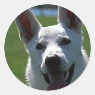 White German Shepherd Ronde Sticker