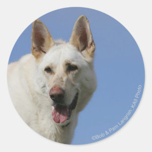 White German Shepherd Ronde Sticker