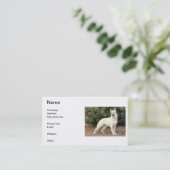 White German Shepherd Visitekaartje (Staand voorkant)