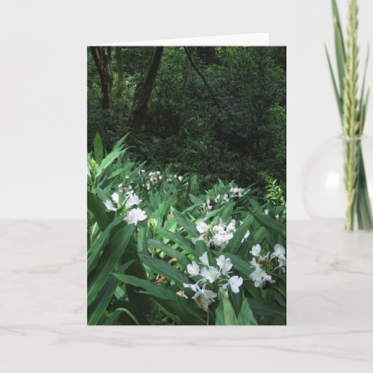 White Ginger Kaart (Voorkant)