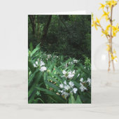 White Ginger Kaart (Gele Bloem)