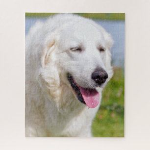 White Great Pyrenees Livestock Guardian Dog Legpuzzel