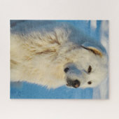 White Great Pyrenees Livestock Guardian Dog Legpuzzel (Horizontaal)