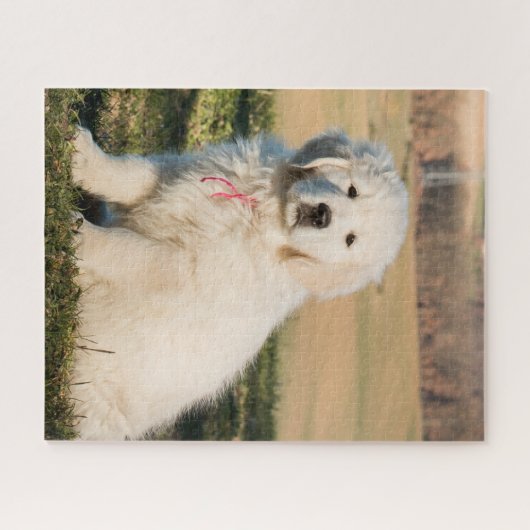 White Great Pyrenees Livestock Guardian Dog Puppy Legpuzzel (Horizontaal)
