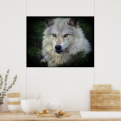 White Grey Wolf Wildlife Supporter Poster (Keuken)