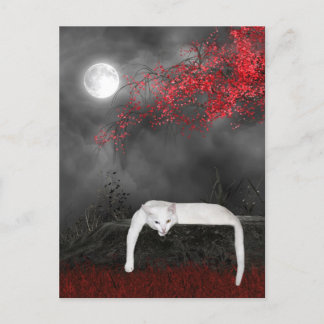 White Halloween cat Briefkaart