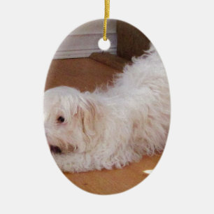 White Havanese Puppy Speel met Red Ball Keramisch Ornament