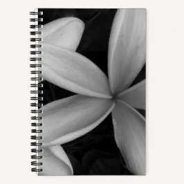 White Hawaiian Flowers Photo Spiral Notitieboek