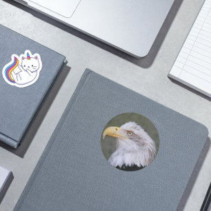 White Headed Bald Eagle Photo Ronde Sticker