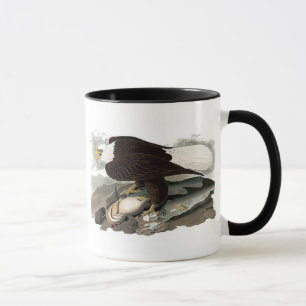 White Headed Eagle   John James Audubon Mok