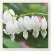 "White Heart" Oorspronkelijke kunst van KAS