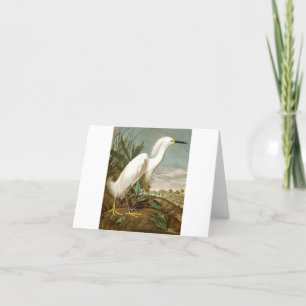 White Heron door John James Audubon Bedankkaart