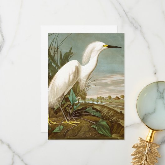 White Heron door John James Audubon Bedankkaart (Voorkant / Achterkant in situ)