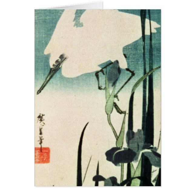 White Heron en Iris (Voorkant)