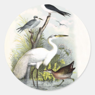 White Heron Ronde Sticker